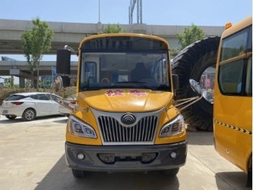 Las emisiones de los autobuses escolares de primaria de la categoría &quot;Euro 4&quot; deberán ajustarse a las normas del anexo I del presente Reglamento.